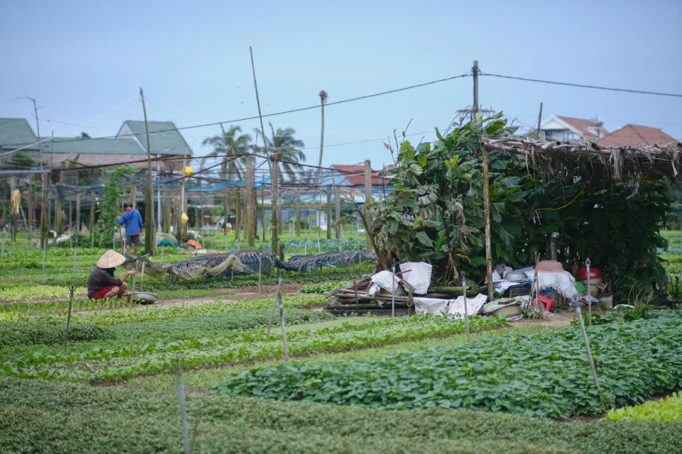 Nhà kho nông cụ